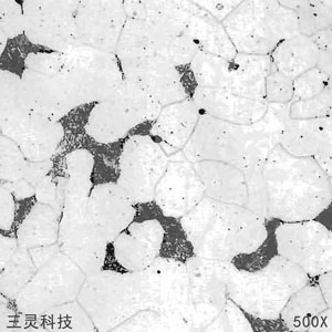 Q235鋼金相圖譜
