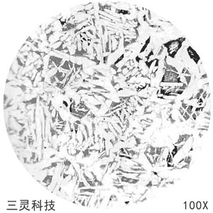 Q235鋼金相圖譜