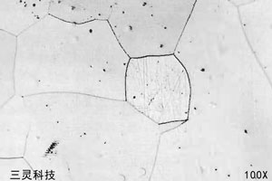 硅鋼金相圖譜